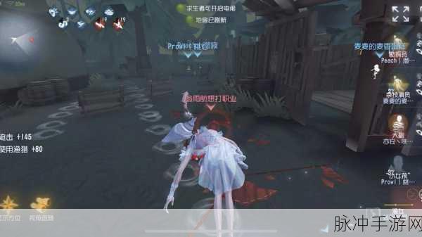 第五人格，揭秘门被锁住的神秘剧情