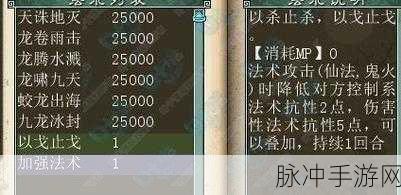 大话西游手游仙族攻略，深入揭秘秒伤50万的终极秘诀