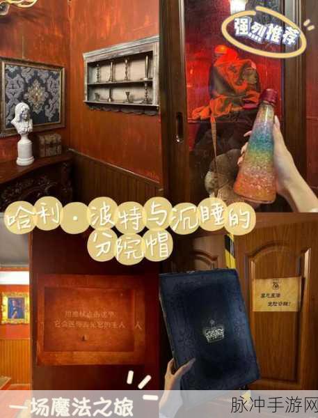 哈利波特魔法世界探秘,神秘之树传奇揭晓