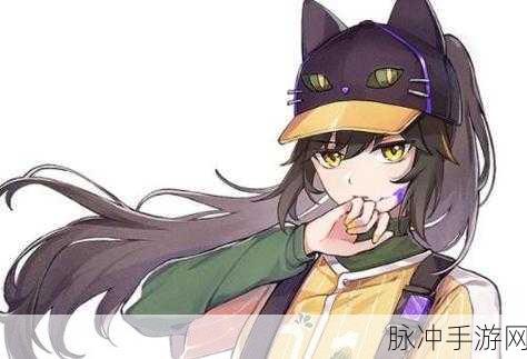 猫之城细雨萌萌涂鸦搭配全解析，打造萌力爆棚的战斗伙伴！