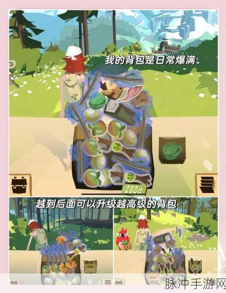 边境之旅，揭秘贡献度背后的神秘增益之道
