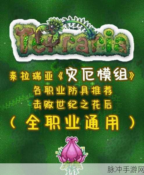 泰拉瑞亚探险必备,饰品防御深度解析,顶级装备助你生存无忧