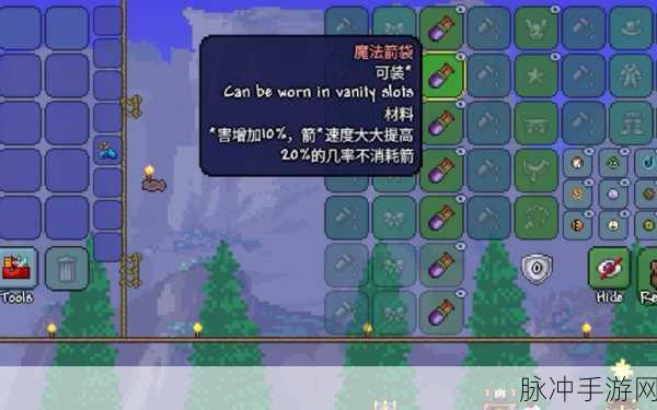 泰拉瑞亚探险必备,饰品防御深度解析,顶级装备助你生存无忧
