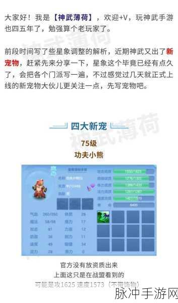 神武2手游，深度解析卡级玩法