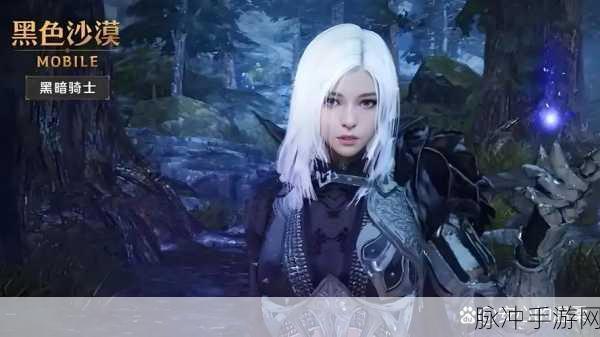 黑色沙漠手游，揭秘命运的第一步任务全攻略
