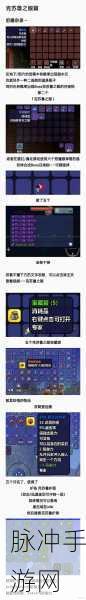 泰拉瑞亚奇遇，揭秘乌龟的秘密与高效刷取策略