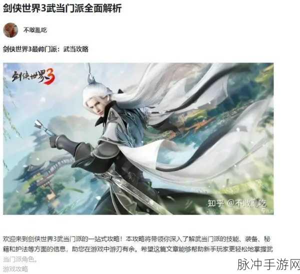 剑侠世界3属性系统深度剖析,打造你的专属战斗风格