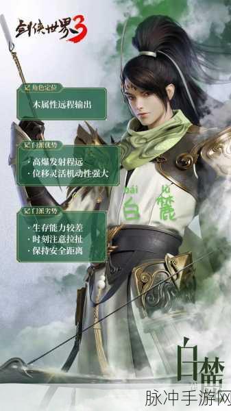 剑侠世界3属性系统深度剖析,打造你的专属战斗风格