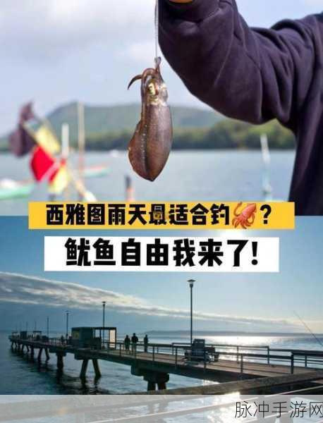 黑色沙漠鱿鱼钓鱼秘籍,渔夫高手养成记,满载而归的喜悦!