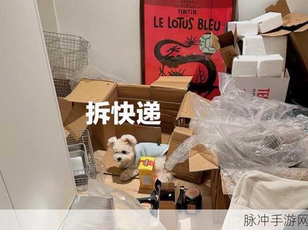 拆快递达人风靡全网，盲盒休闲新体验等你来探索