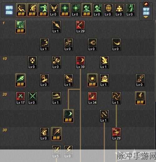 DNF刺客70级加点全攻略，技能强化与实战技巧