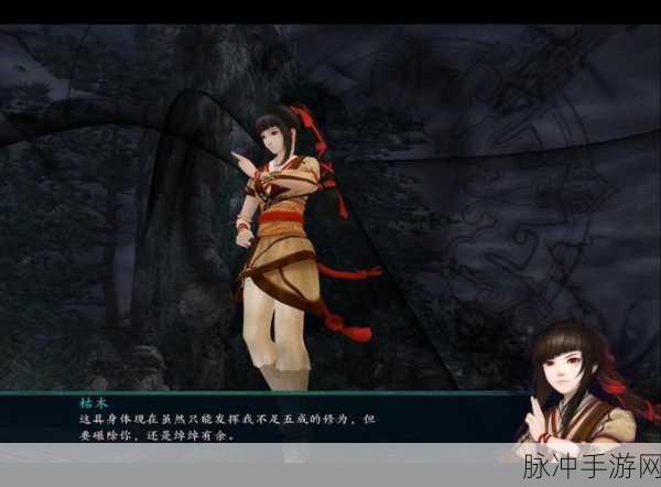 仙剑奇侠传五深度解析，全攻略在手，仙侠之旅任你游！
