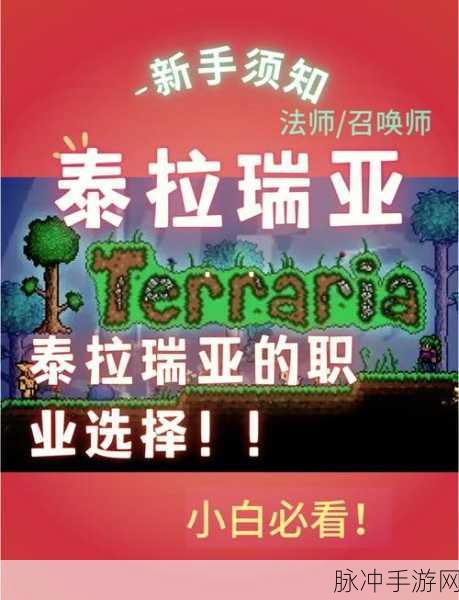 泰拉瑞亚职业大比拼,战士与法师,谁才是你的真爱?