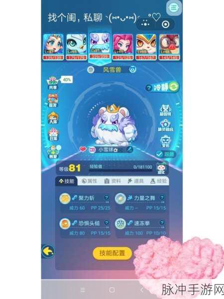 天空翼翱翔,超级精灵手表飞系精灵深度解析