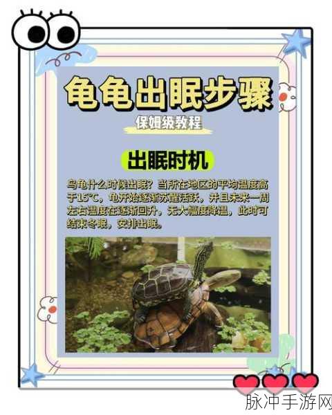 手机方舟,揭秘乌龟驯服全攻略