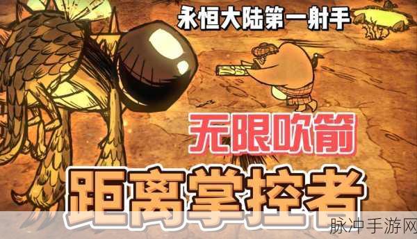 饥荒海难,烈日炎炎下的生存智慧大揭秘