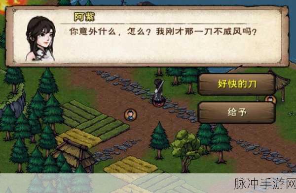 烟雨江湖龙葵获取全攻略,解锁南阳渡的秘密
