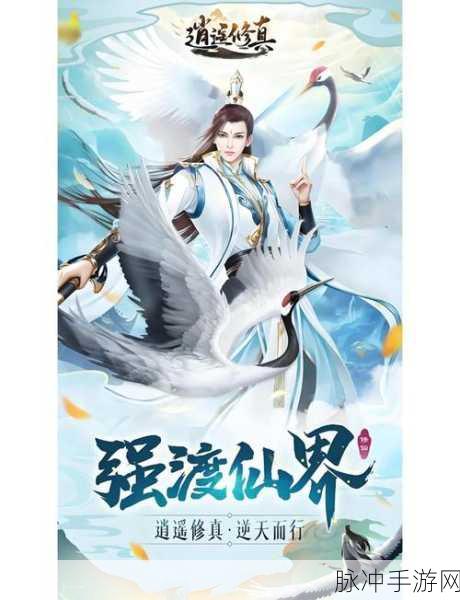 九州觅仙记，探索仙侠世界的奇幻之旅，下载即刻启程