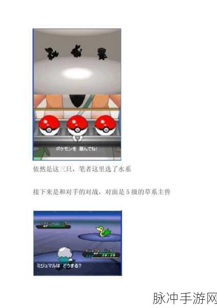 口袋妖怪黑白1nds,经典再现,踏上未知的奇妙探险