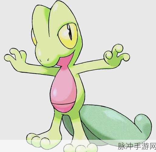 口袋妖怪3DS新宠物木守宫，森林守护者的全面解析