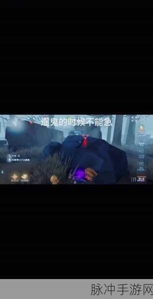 第五人格,闪现与传送,哪个才是你的监管神器?