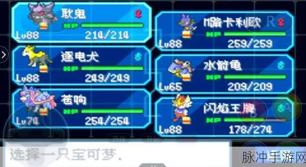 宝可梦剑盾深度解析,格斗系的天敌揭秘