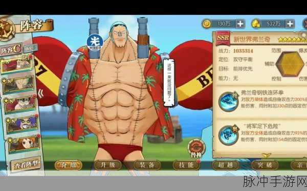 航海王燃烧意志,新世界弗兰奇的最强阵容搭配全揭秘