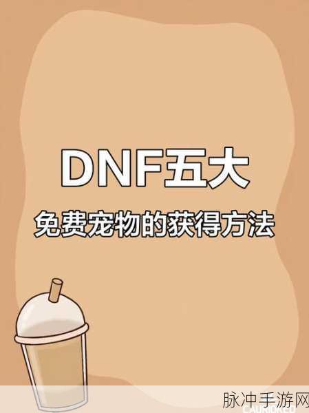 DNF宠物交易全解析,如何玩转宠物市场