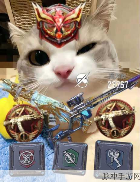 使命召唤手游，揭秘猫猫应援物的获取秘籍