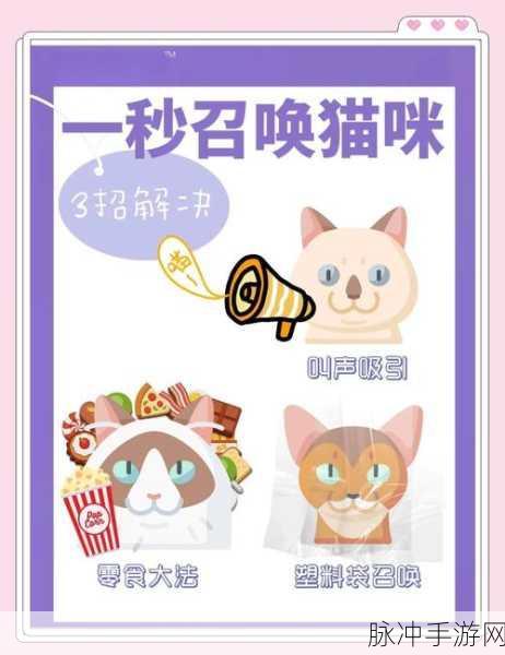使命召唤手游，揭秘猫猫应援物的获取秘籍