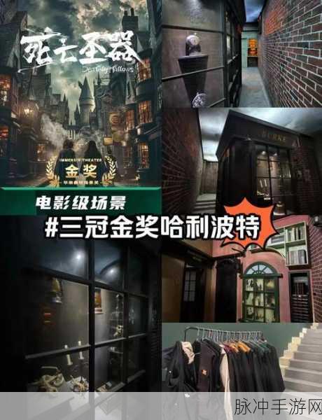 穿越神秘魔法森林，解锁哈利波特未尽之谜