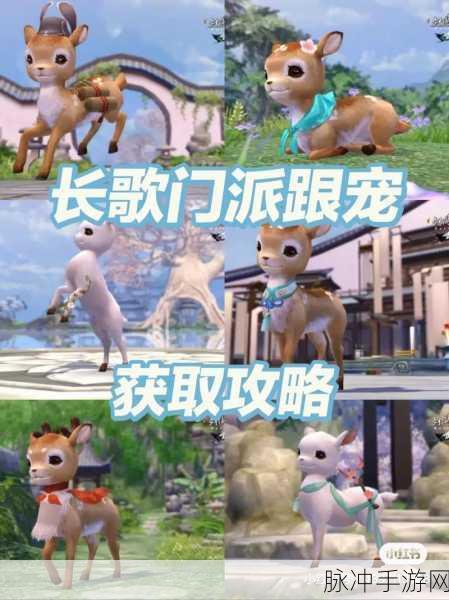 剑侠情缘手游长歌，解锁最强同伴搭配秘籍