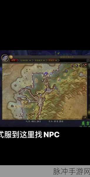 魔兽世界冬泉谷探险全攻略，路线揭秘、任务指南与注意事项