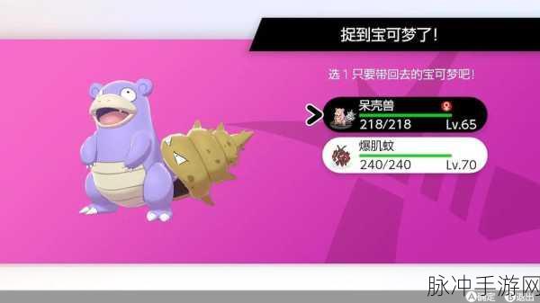 宝可梦大集结，揭秘爆肌蚊的获取秘籍