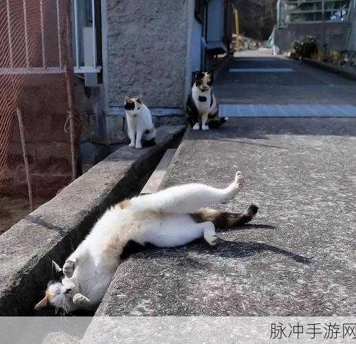 喵星世界，探索温馨治愈的合成之旅
