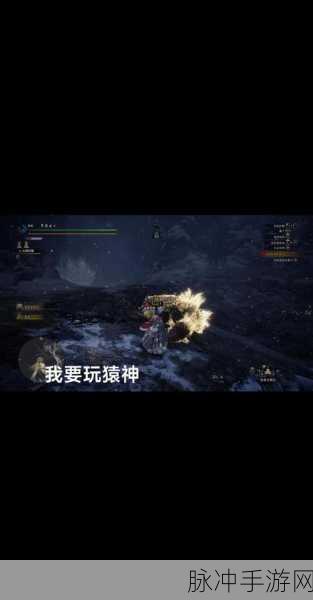 怪物猎人系列新作震撼爆料，防御操作深度揭秘，关键按键全解析！