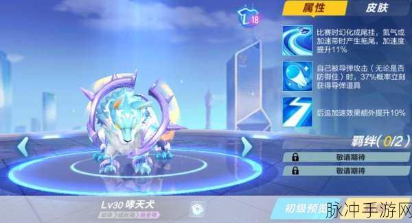 QQ飞车宠物强化大揭秘，千卡凌晨挑战，10级不是梦？