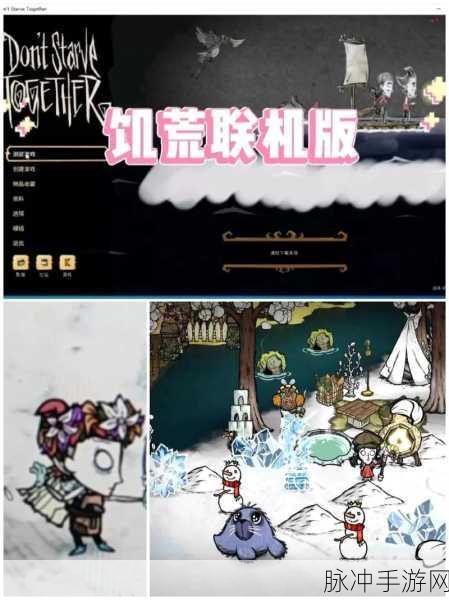 饥荒与饥荒联机版，生存挑战的双面魅力