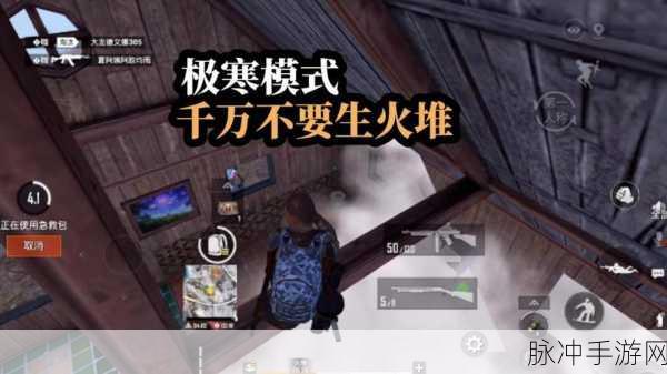 和平精英鸡肉获取全攻略，极寒模式下的生存秘籍