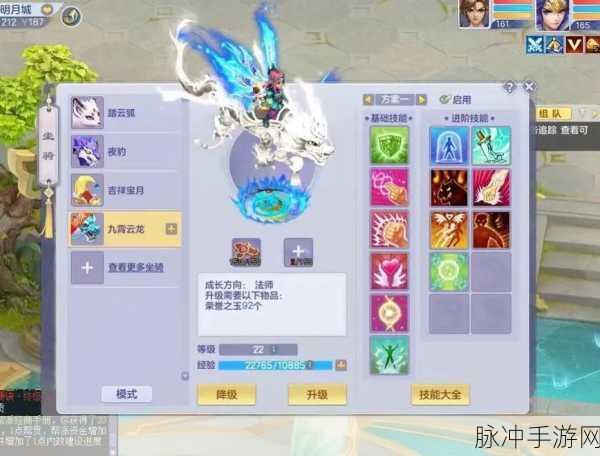 梦想世界，道家法师招式深度剖析与实战攻略