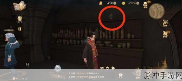 哈利波特魔法觉醒，拼图寻宝第五期深度探索，解锁奇幻之旅的密钥