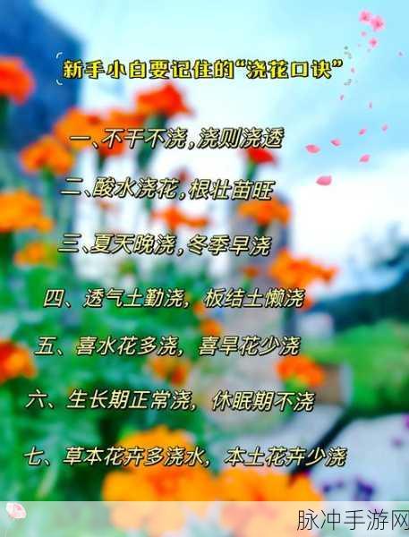 开心消消乐4924关全攻略，解锁莲花花苞的浇灌秘籍