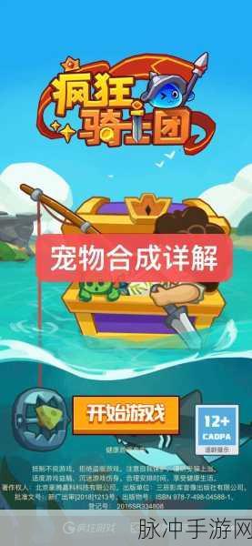 疯狂骑士团宠物合成全攻略，从新手小白到合成大师