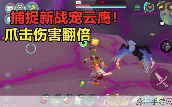创造与魔法利刃云鹰捕捉全攻略，材料需求与捕捉技巧