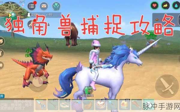 独角兽的奇幻之旅,揭秘创造与魔法饲料的奥秘