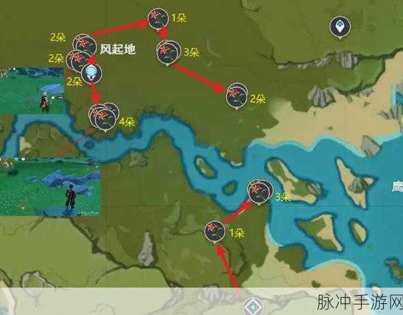 原神风车菊采集秘籍，详尽攻略与地图指引