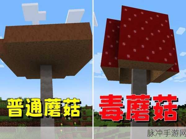 我的世界安卓版，蘑菇寻觅与获取全攻略
