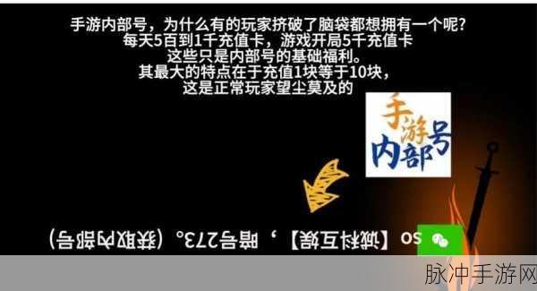 烟雨江湖，揭秘贺庄主毓秀剑法获取之谜