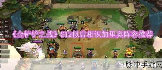 金铲铲之战，揭秘维迦的召唤奥秘与实战攻略