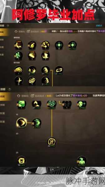 DNF手游韩服阿修罗，技能加点深度解析与实战攻略